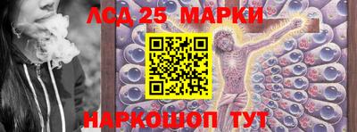 стаф Кинель