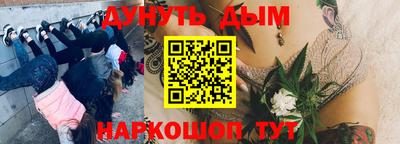 ПСИЛОЦИБИНОВЫЕ ГРИБЫ Кингисепп