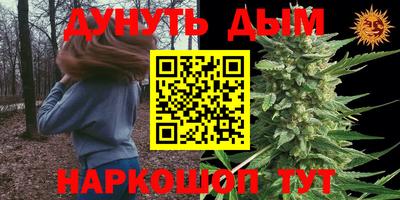 ПСИЛОЦИБИНОВЫЕ ГРИБЫ Кингисепп