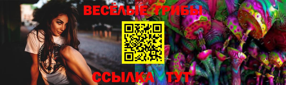 Галлюциногенные грибы мицелий Кандалакша